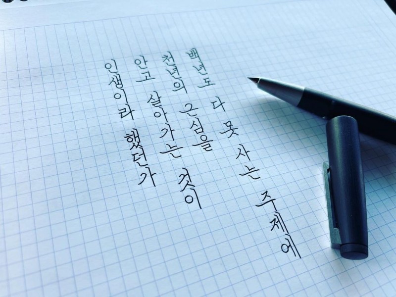 김솔님의 정자체