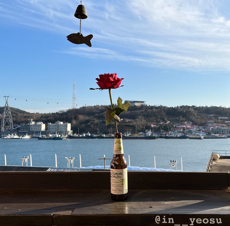 맥주병에 꽂혀있는 장미